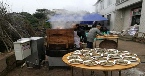 生物质燃料炊事炉